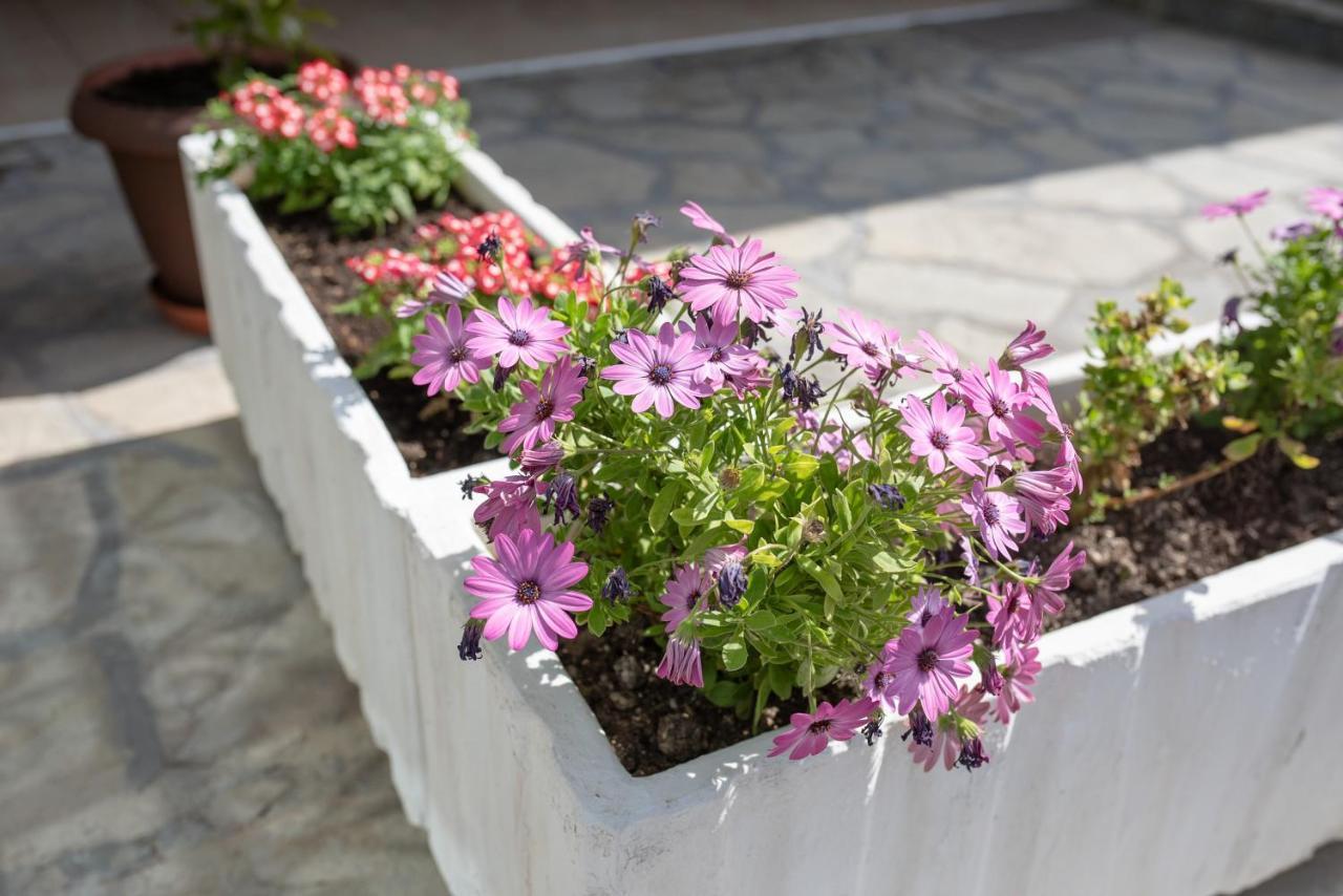 Paralía Μpasias Apartments מראה חיצוני תמונה