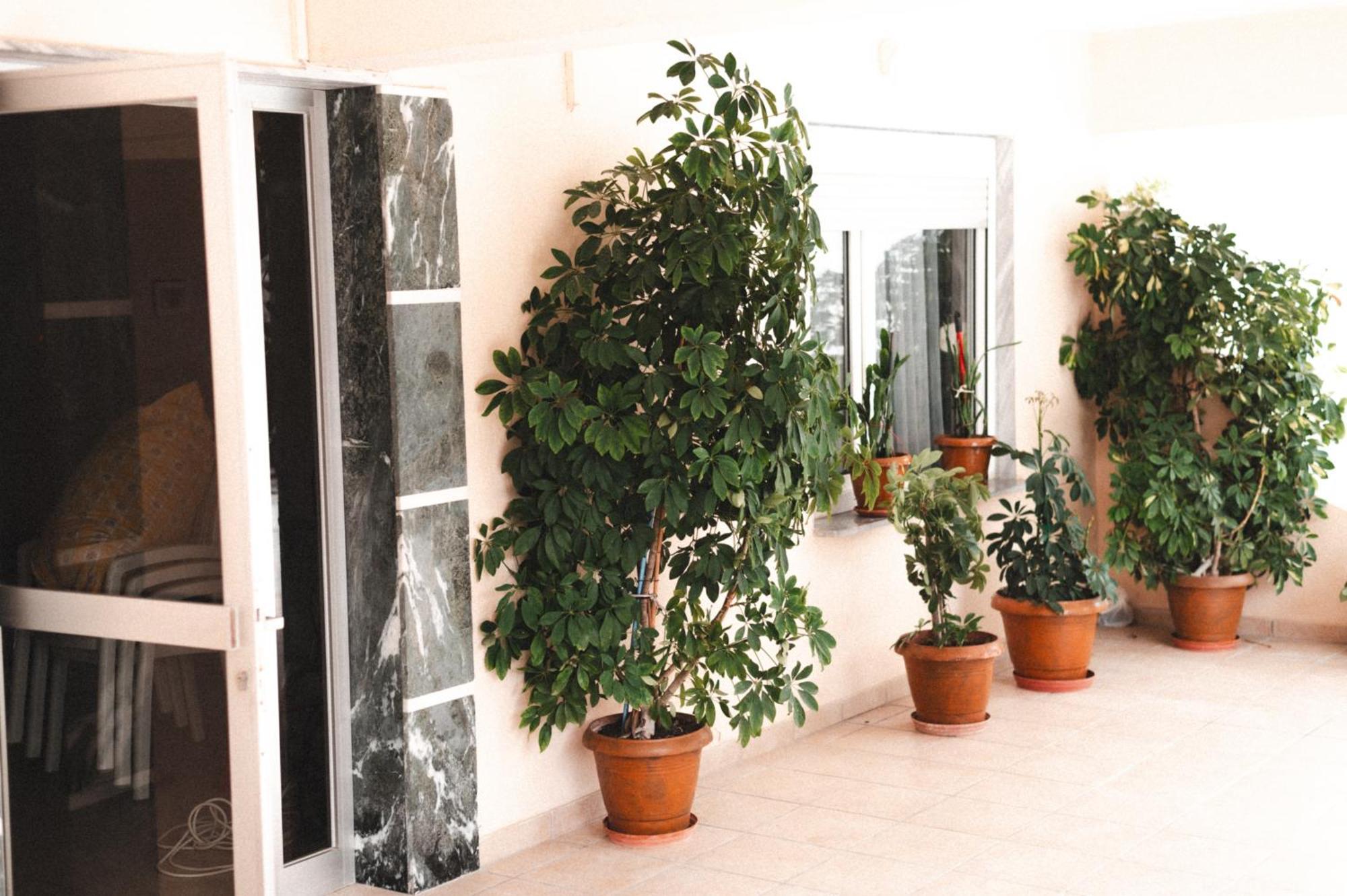 Paralía Μpasias Apartments מראה חיצוני תמונה
